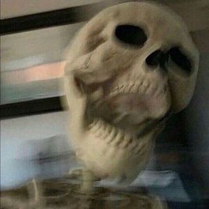 Meet your Posher, Leeak